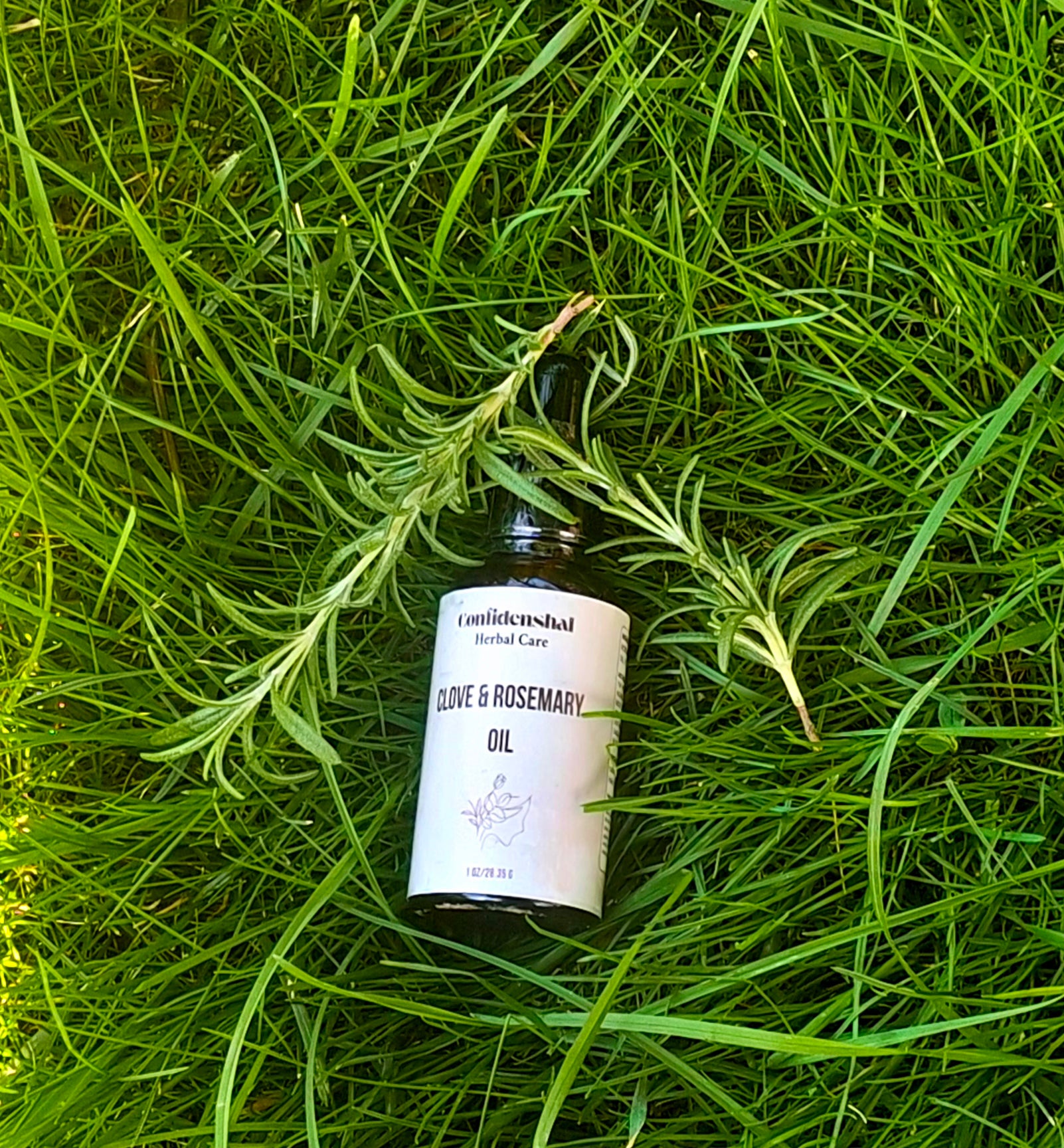 Clove & Rosemary Infused Oil